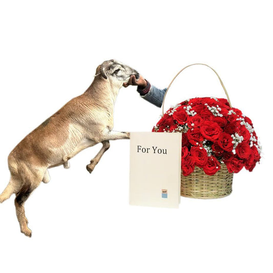 በግ - አበባ🌹